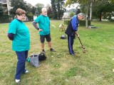Sportovní hry seniorů 2018 - Městský park Ostrov Semily