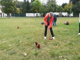 Sportovní hry seniorů 2018 - Městský park Ostrov Semily