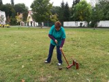 Sportovní hry seniorů 2018 - Městský park Ostrov Semily