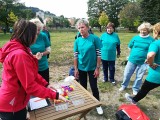 Sportovní hry seniorů 2018 - Městský park Ostrov Semily