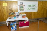 Ples města Tanvald