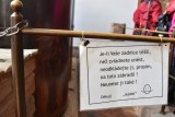 Senior klub Výšina 2.5.2019
