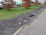 26.3.2014