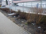 26.3.2014