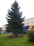 24.11.2014