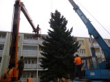 24.11.2014