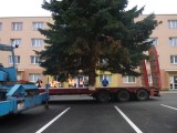 24.11.2014