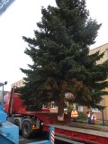 24.11.2014