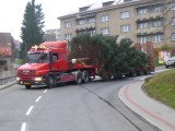 24.11.2014