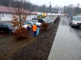 26.03.2015