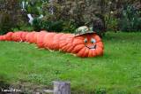 Zájezd seniorů do Spreewaldu