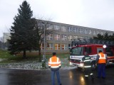 Putování vánočního stromu