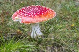 Jak tanvaldští senioři poznávali jizerskohorské přehrady 