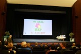 Humor v amatérském filmu 2017
