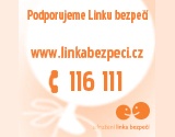 www.linkabezpeci.cz
